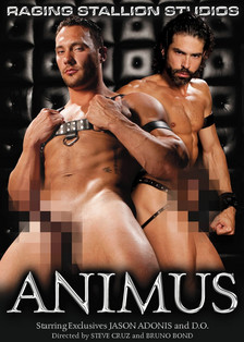 Animus