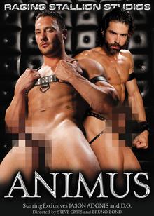 Animus