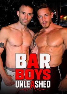Bar Boys Unleashed