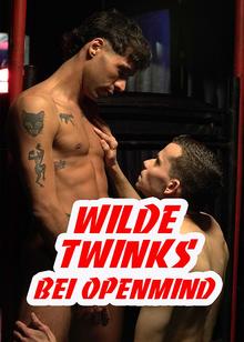 Wilde Twinks bei OpenMind