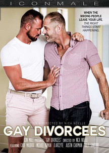 Gay divorcees